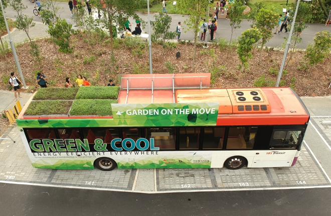 Tiết kiệm năng lượng bằng thảm thực vật trên nóc xe buýt